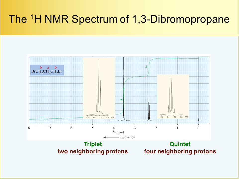 NMR28h