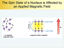 NMR50h