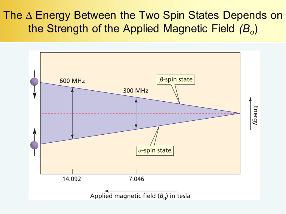 NMR30v