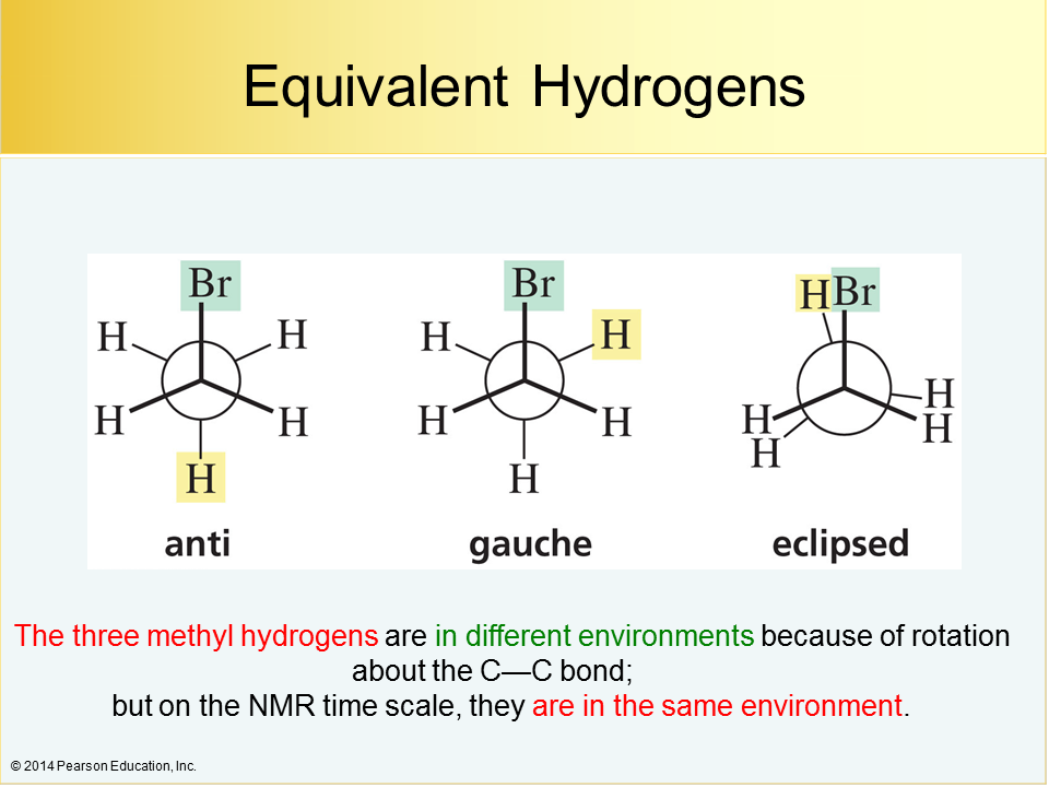 NMR50h