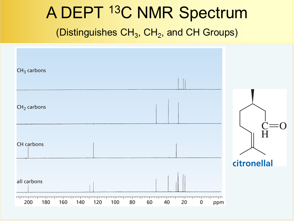 NMR50h