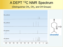 NMR50h