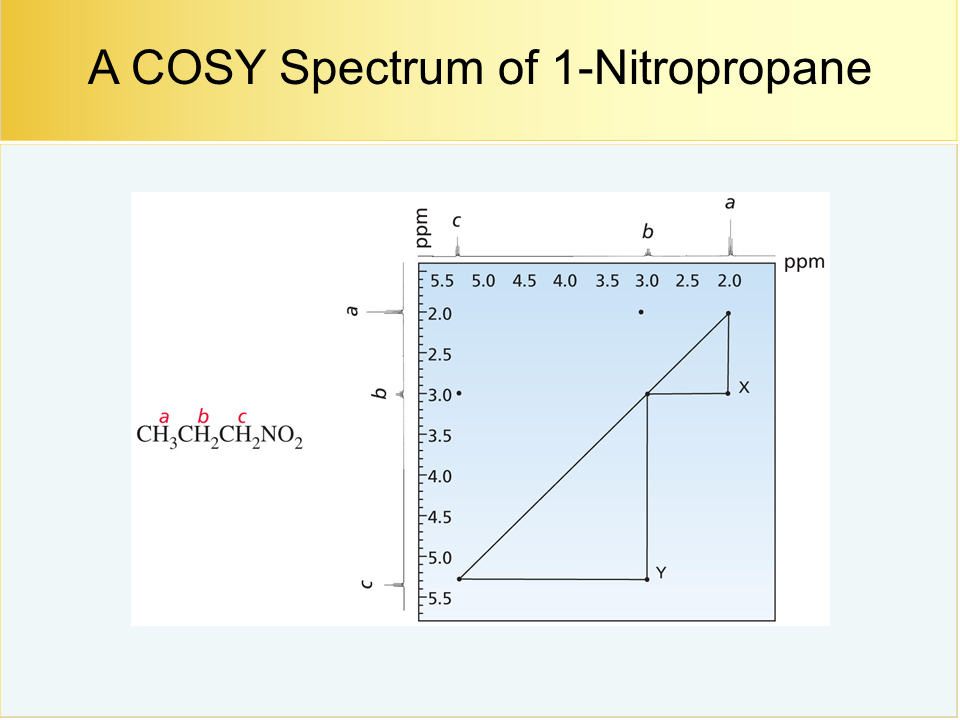 NMR28h