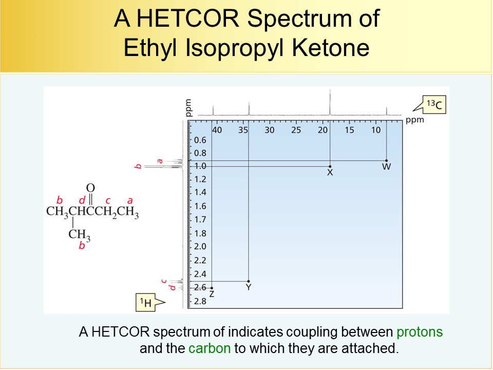 NMR42v