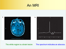 NMR43h