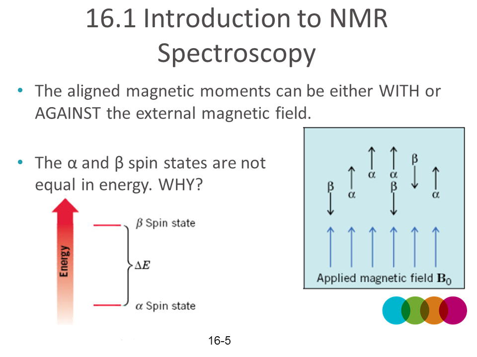 NMR28h