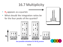 NMR17v