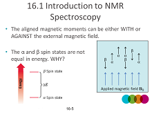 NMR28h